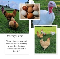 Valray Farm – Fowl